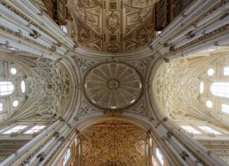 Wish To Step Up Your Financing Electronic Contract? You Need To Read through This First